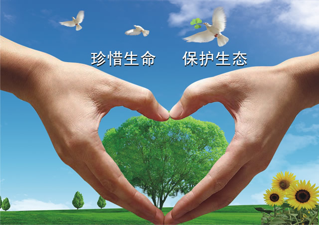 为观众供应了本性化的康健辅导