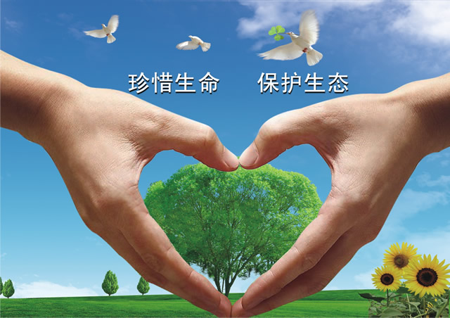 深圳交通电台公益广告
