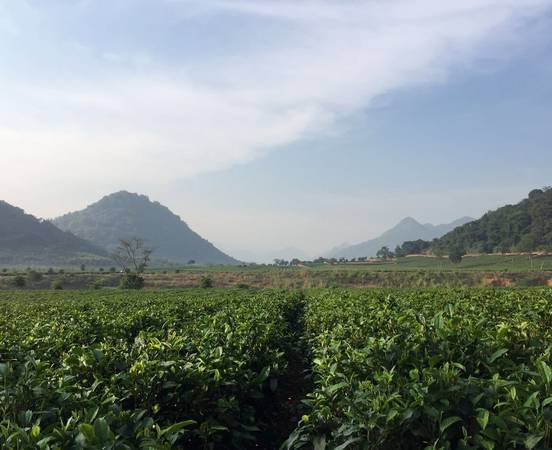 中国电子商务十大牛商李佳霖,东莞电台广告,岁月留声