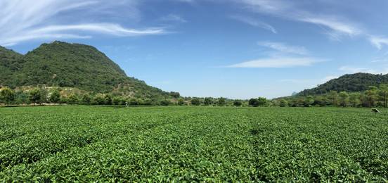 中国电子商务十大牛商李佳霖,东莞电台广告,岁月留声